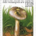 1997 - Benim - Cortinarius collinitus