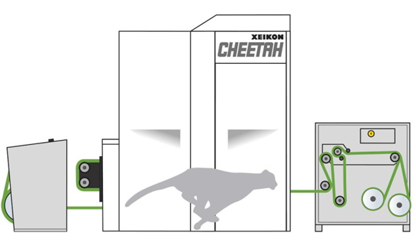 xeikon cheetah