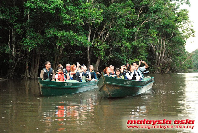 Tours Kinabatangan River