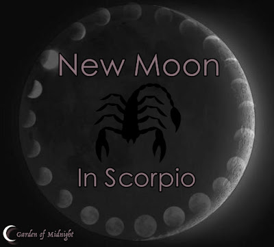 new moon in scorpio