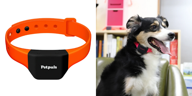 Petpuls – Collar That Understands Dogs