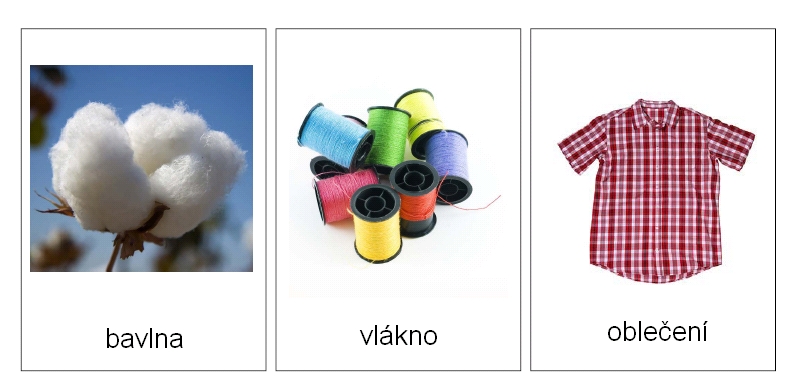 Obrázek