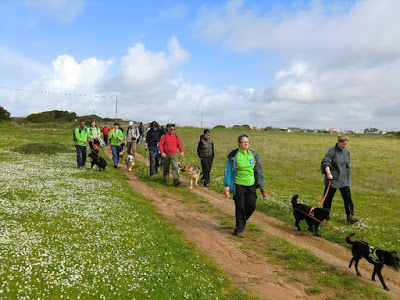 Dog Trekking to Cabo Espichel