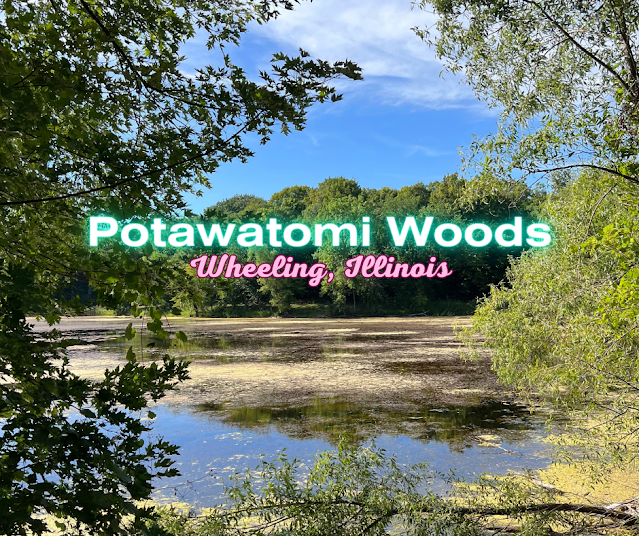 Unexpected Nature Oasis at Potawatomi Woods in Wheeling, Illinois