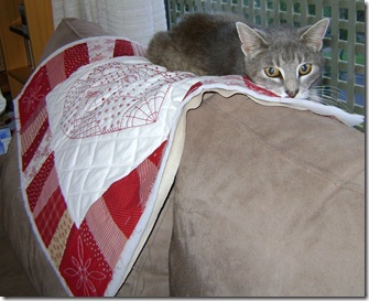 tabitha on the crazy heart