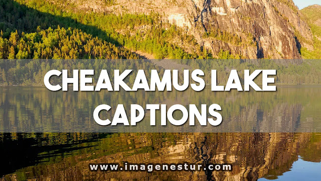 Cheakamus Lake Captions Quotes
