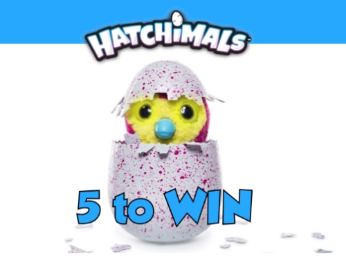 Reebee Hatchimals Giveaway