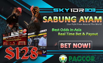 Agen Terbesar Judi Sabung Ayam Online Sv388 (Sv288)