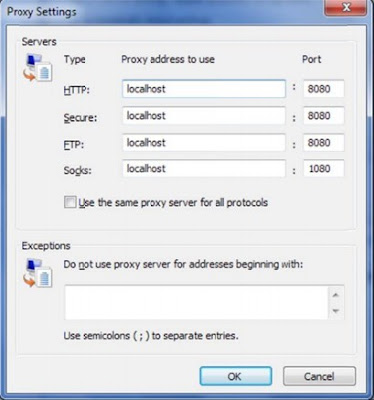 internet explorer proxy settings2