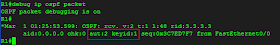 debug ip ospf packet authentication