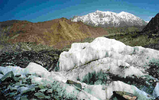 Black Carbon and its Effects on Glaciers