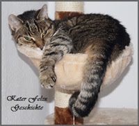 Kater Felix's Geschichte