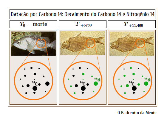 EDO: Técnica de Datação por Carbono-14 (14C) | O Baricentro da Mente