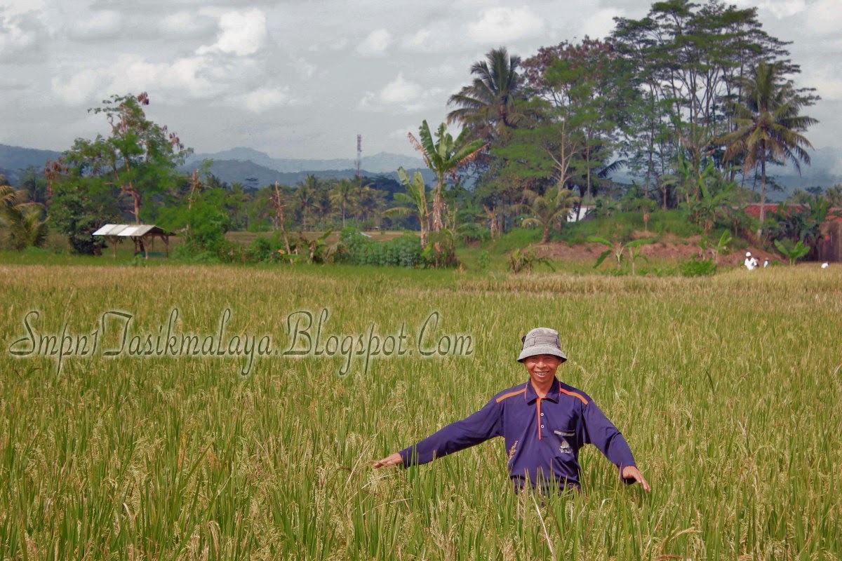 Contoh Hasil Jepretan Kamera DSLR Canon Terbaru