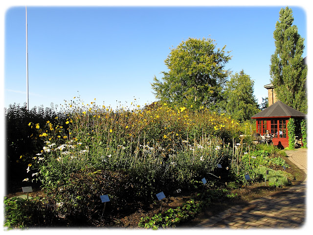 Oldemors hage i Botanisk hage på Tøyen i Bydel Gamle Oslo