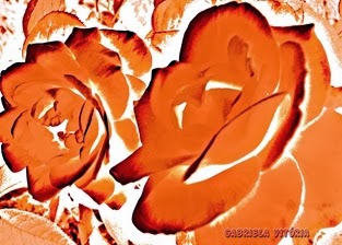 Rosas de amor