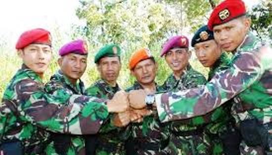 Makna dan Arti Warna Baret Dalam Satuan TNI