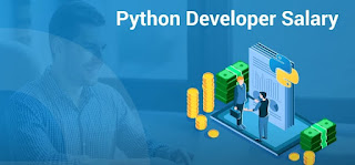 Python training institute in Delhi