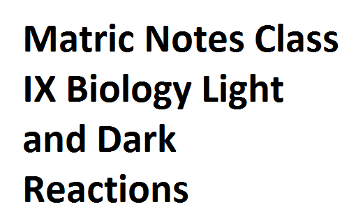 Matric Notes Class IX Biology Light and Dark Reactions matricnotes0