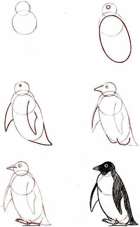 تعليم الرسم للمبتدئين خطوة بخطوة بالصور, رسم البطريق بالرصاص 