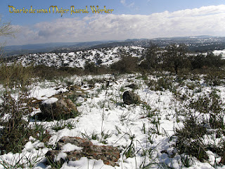 Nevada Guadiato