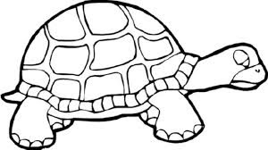 Lazy Turtle Coloring Pages For Kids