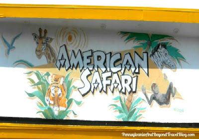 American Safari Wall Mural in Wildwood  New Jersey by MG Signs