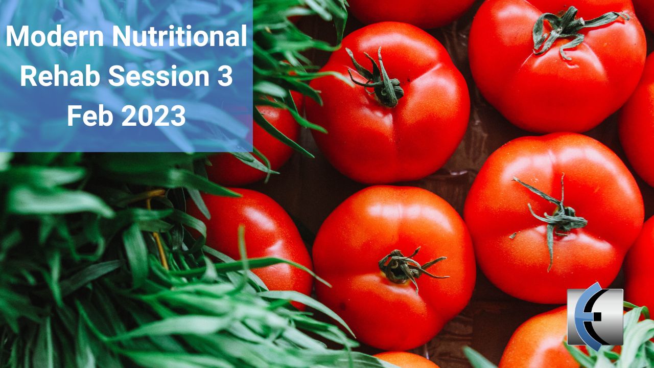 Modern Nutritional Rehab Online Mentoring Session 3 Feb 2023 - modernmanualtherapy.com