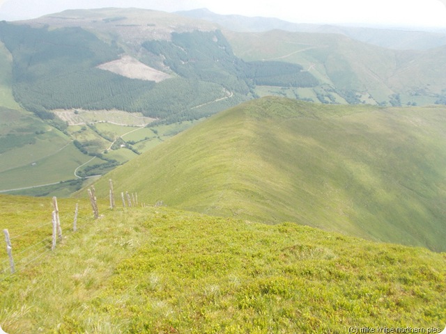 mallwyd 011