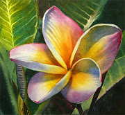 . Burnt Sienna) near the flower center to draw attentions there, . (blushing plumeria web)