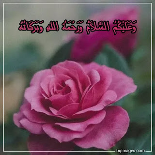 walaikum assalam in urdu