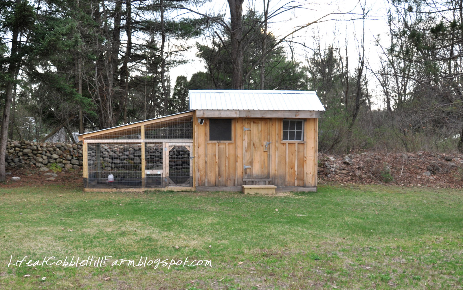 Chicken Co-op Shed