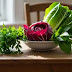 Leafy Greens That Detox Your Body Naturally: The Ultimate Guide to a Cleaner, Healthier You