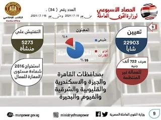 القوي العاملة في أسبوع .. إطلاق أول منظوم للتأمين على العمالة غير المنتظمة