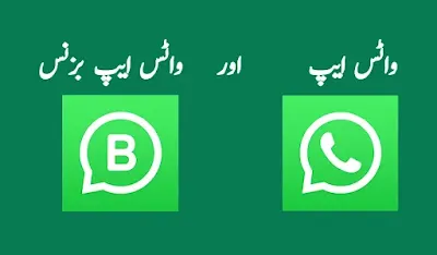 Whatsapp and whatsapp business difference in Urdu واٹس ایپ سے کیا مراد ہے