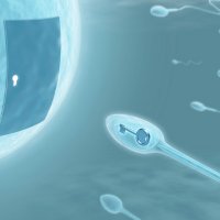  Tips dan Cara Agar Biar Sperma Subur agar Pasangan Cepat Hamil