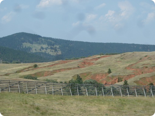 Drive Thru Black Hills 102