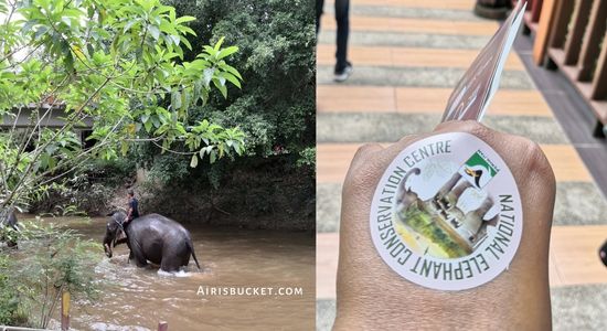 Kuala Gandah National Elephant Conservation Centre