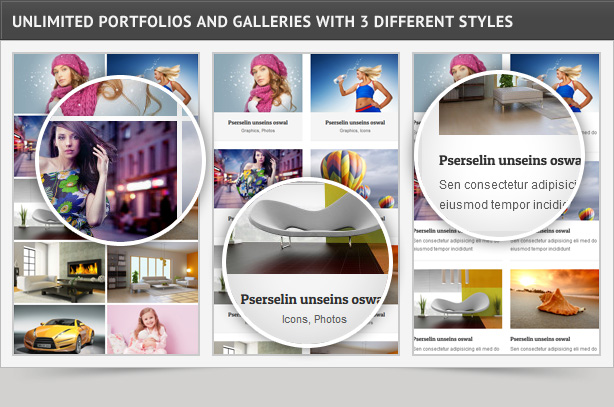 emode-wordpress-theme-features