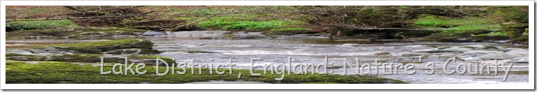 Lake District, England: Nature's County