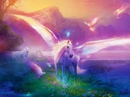 Unicorn of the week!