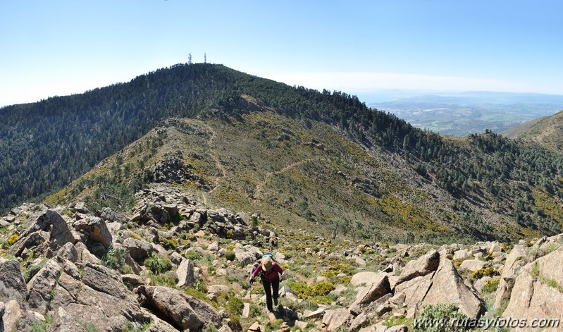 Los Reales de Sierra Bermeja