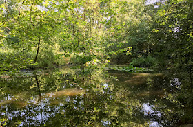 Pond Wood.  Walk round the Hawkwood Estate 34, 30 August 2016