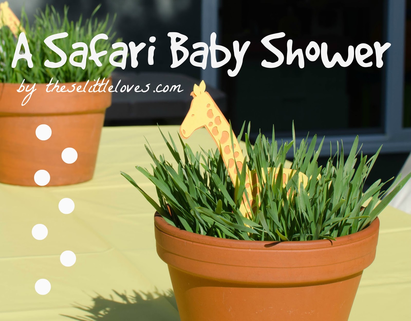 A Safari Baby Shower