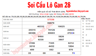 soi cau lo, soi cau ko gan, soi cau lo de, soi cau lo gan 28