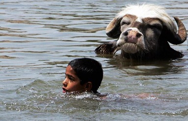buffalo-boy_1420009i