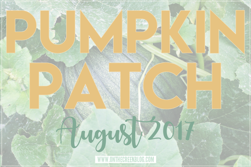 Pumpkin Patch