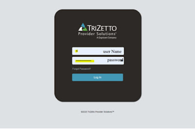Trizetto login