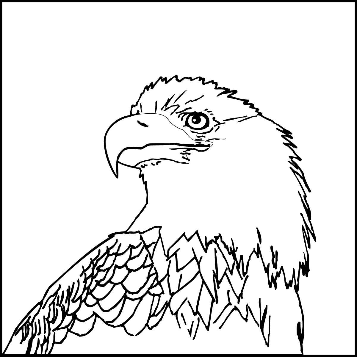 Kumpulan Gambar Kartun Kepala  Burung  Elang  Duinia Kartun