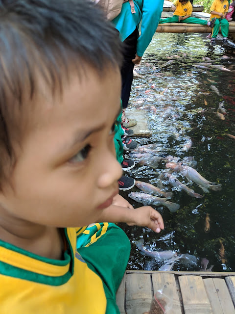 Tk-tauladan-pare-berwisata-edukasi-ke-sejuta-ikan-desa-jambu-kediri